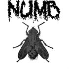 NUMB (WA) Numb album cover