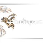 OCTOPUS Octopus album cover