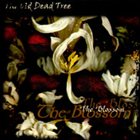 THE OLD DEAD TREE The Blossom album cover