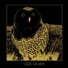 OLDE GROWTH Owl album cover