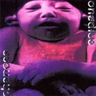 ONEDICE Chances album cover