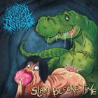 OPERATION CUNT DESTROYER Slam Before Time album cover