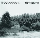 OSTOTS Ødelegger / Ostots album cover