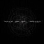 PAIN OF SALVATION BE album cover