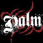 PALM Palm album cover