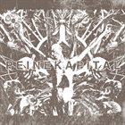 PEINE KAPITAL Peine Kapital album cover
