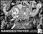 PERMANENT RUIN Nanodestroyer - A Fastcore Compilation album cover