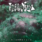 PHYLLOMEDUSA Blommersia album cover