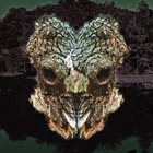 PHYLLOMEDUSA Spiracle Sinistrally Mask Menguled album cover
