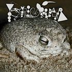 PHYLLOMEDUSA The Non​-​Hopping Fossorial Breviceps album cover
