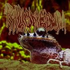 PHYLLOMEDUSA Unriled Selection (The Moustache Of Emei) album cover