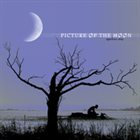 PICTURE OF THE MOON Ageless Day album cover