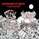 PIGGY Wasteland of Death album cover
