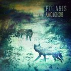 POLARIS Dichotomy album cover