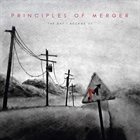 PRINCIPLES OF MERGER The Day I Became Us album cover