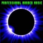 PROFESSIONAL MURDER MUSIC Professional Murder Music album cover