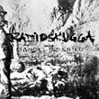 RADIOSKUGGA Mangel Ist Krieg album cover