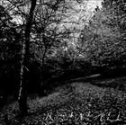 RAINFALL Autumn One album cover