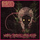 RAT HOLE Noisy Apocalyptic Shit album cover