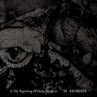 REDSHEER In The Beginning Of Noise Slaughter album cover