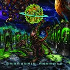 RINGS OF SATURN Embryonic Anomaly album cover