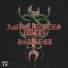 RONGEUR Ampmandens Døtre vs. Rongeur album cover