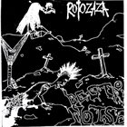 ROTOZAZA Attack Noise Hero / Destroy Noise album cover