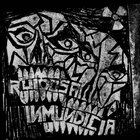 RUIDOSA INMUNDICIA Amazing Madness - Japan Tour album cover