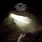 SAILLE — Irreversible Decay album cover