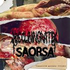 SAORSA Inaudible Autopsy Process album cover