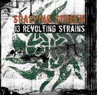SCALPING SCREEN 13 Revolting Strains album cover