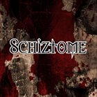 SCHIZTOME The Art Of Dying album cover