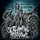 SCREAMING AT SHADOWS Sea Of Sinners album cover