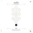 SECRET CHIEFS 3 — The Book Beri'ah Vol. 10: Malkhut album cover
