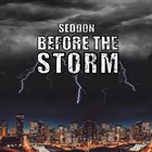 SEDDON Before The Storm album cover