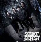 SEED OF DETEST Seed album cover