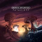 SEMANTIC SATURATION Paradigms album cover