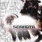 SENMUTH Morning Depth of the Sunlight and Emptiness album cover