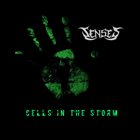 SENSES Cells In The Storm album cover
