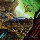 SEPTYCAL GORGE Growing Seeds of Decay album cover