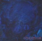 SHAGNUM Shagnum album cover