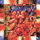 SHEAVY — Blue Sky Mind album cover