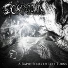 SICKROOM A Rapid Series Of Left Turns album cover
