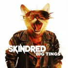 SKINDRED Big Tings album cover