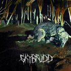 SKYBRUDD Skybrudd album cover