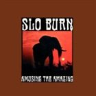SLO BURN Amusing the Amazing album cover