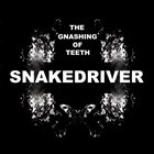 SNAKEDRIVER The Gnashing Of Teeth album cover