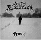 SOLAR RADIATION Travel album cover