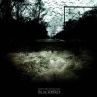 SOME PEDESTRIANS Blackbird album cover