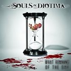 SOULS OF DIOTIMA What Remains of the Day album cover